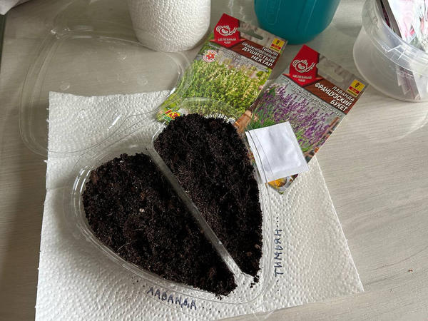 Перед закладкой семян субстрат необходимо увлажнить