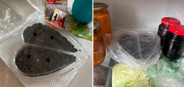 Слева: семена должны дышать. Справа: емкость помещают в пакет и убирают в холодильник