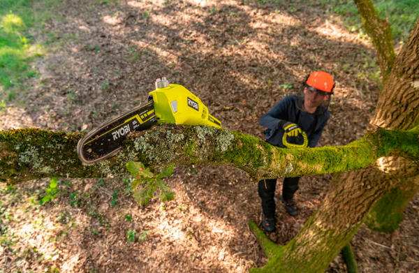 Аккумуляторный высоторез Ryobi RY36PP25A. Фото с сайта ryobitools.eu