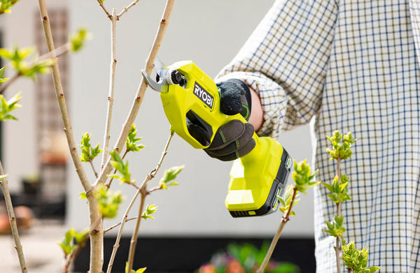 Секатор Ryobi ONE+ RY18SCA. Фото с сайта ryobi-shop.ru