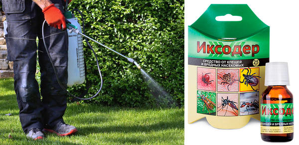 С помощью Иксодера вы сможете защитить себя от клещей на даче