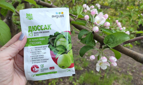 Дюссак поможет защитить урожай от гусениц