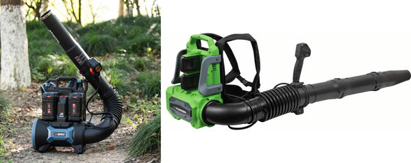Слева: модель SENIX BLBX6-M-EU-0. Фото с сайта . Справа: модель TRUEGREEN TG8A522. Фото с сайта vseinstrumenti.ru