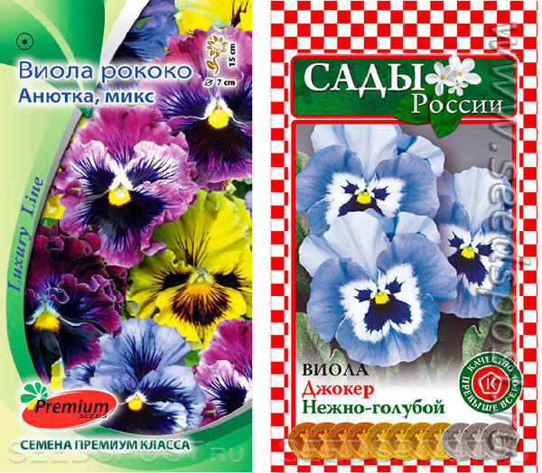 Анютины глазки