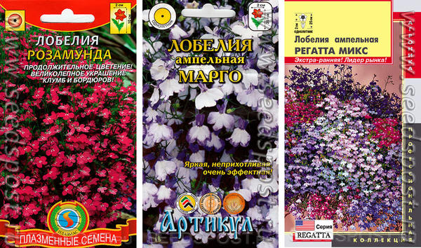 Лобелия