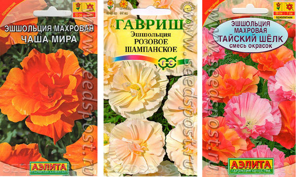 Эшшольция