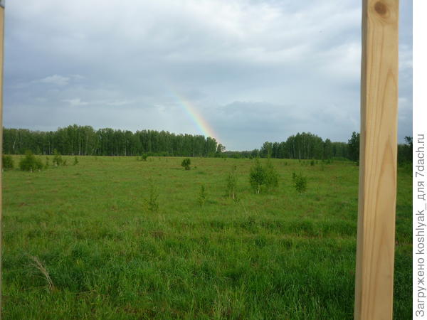 Вид в поле после дождя с высоты детского домика.