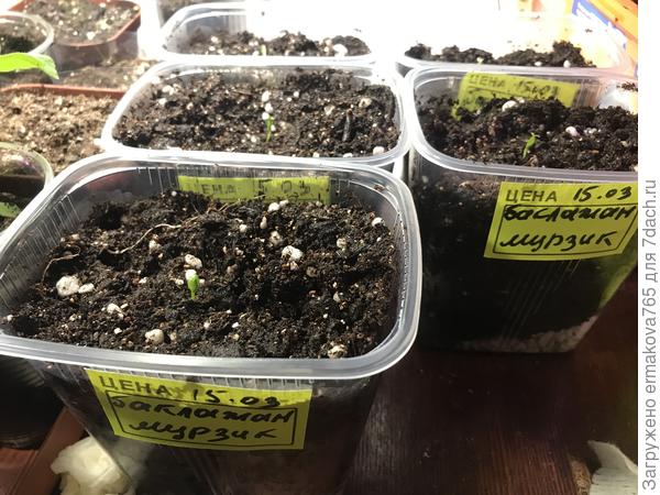 5 kousků jsem si vybral pro sebe