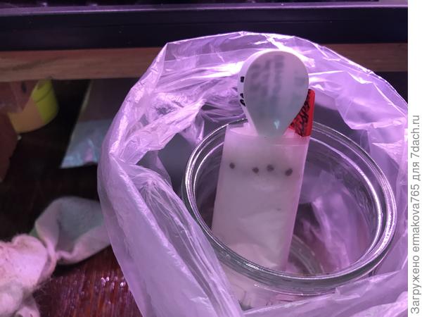 hromadné sdělovací prostředky