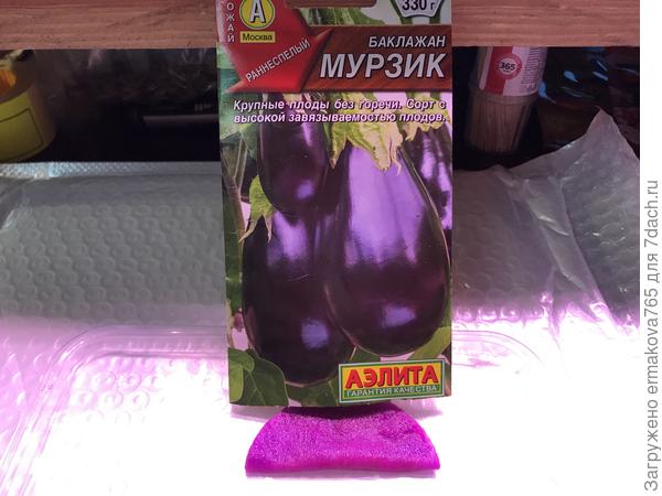 semena jsou vyživována