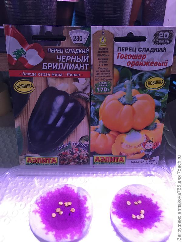 диски свернула на 15 мин.