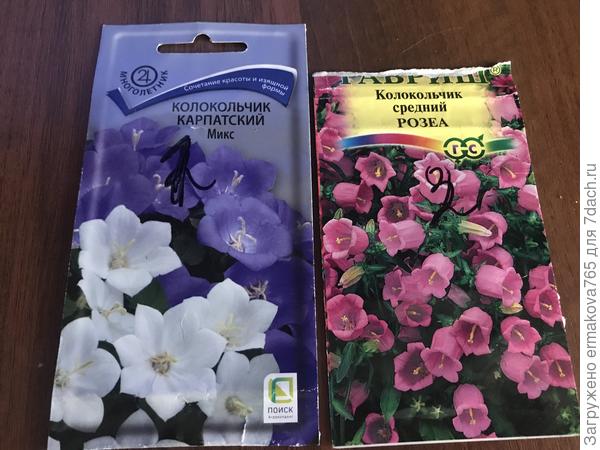 Вот  такие семена