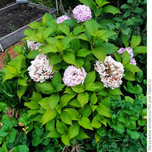 фото от 9 сентября