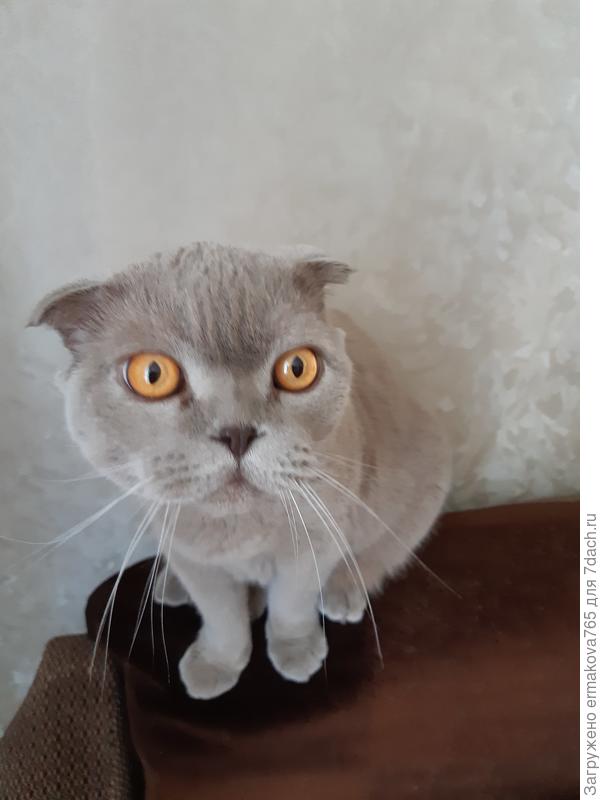 Какая дача?Не поеду...