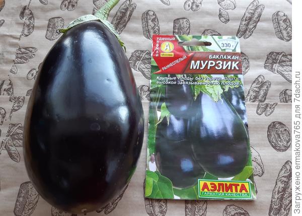 один в один