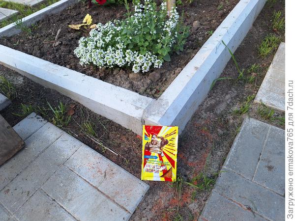 Испытание гранул проводила на садовых дорожках