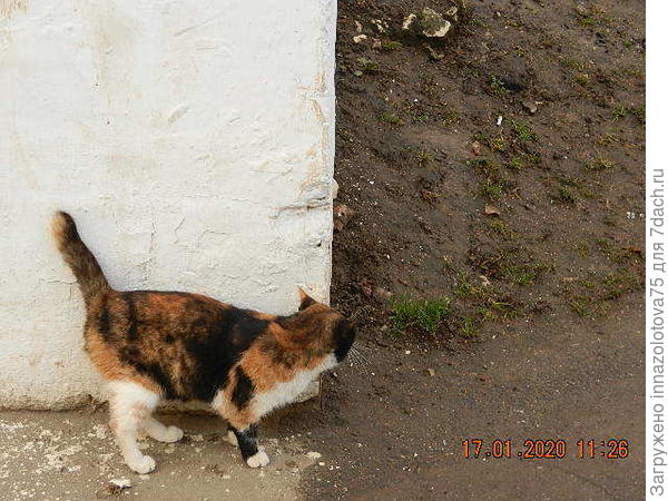 И, правда где все?