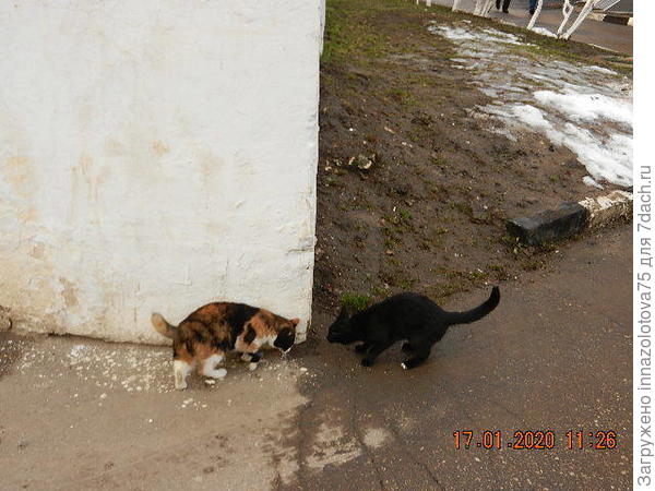 Вот причина любопытства!!!!