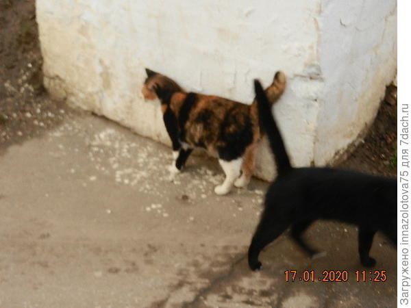 Мы разошлись, как в море корабли!