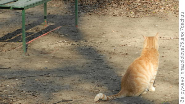 Тот же рыжий