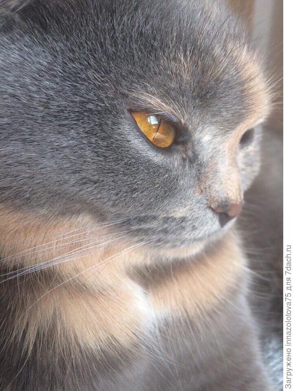 Боня задумалась о жизни.