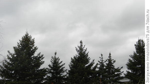 Свинцовое небо.