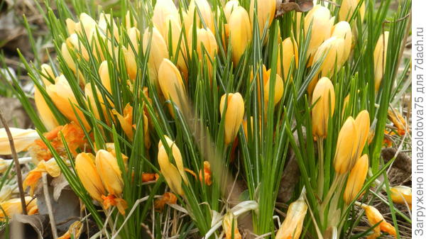 На следующий год всё будет хорошо!