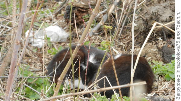 Продолжаем спать!