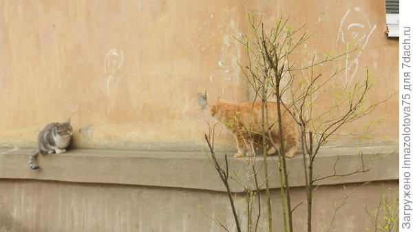 Поворот событий.