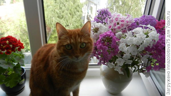 Каждую ночь он разбирает букет по веточкам и рпскладывает их на полу.