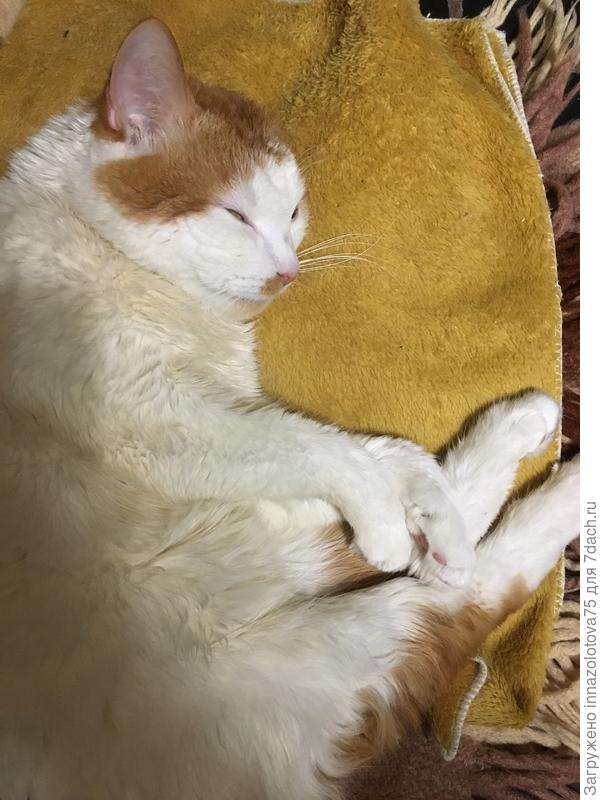 Думаете, что спит? Как бы не так....