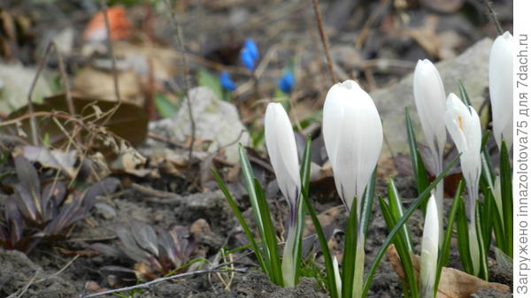 Это мои любимые