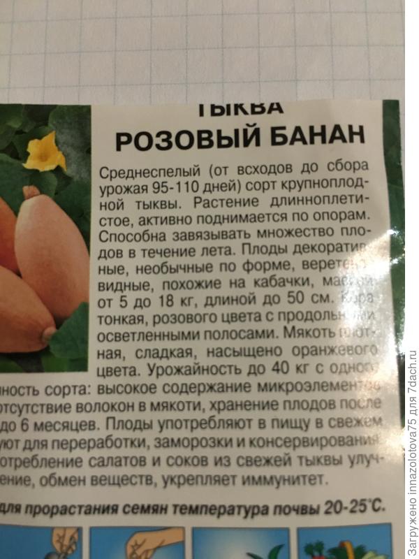 Вот так и написано : растение длинноплетистое, активно поднимается по опорам.