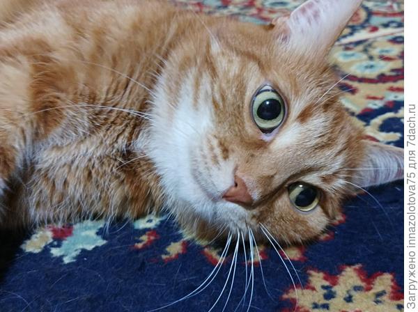 Когда же наступит настоящая весна?