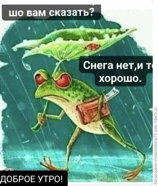 Правда-правда!!!