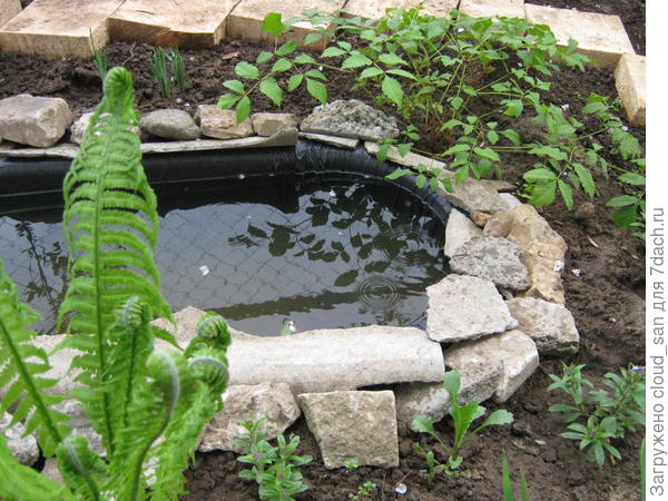 Вид из окна кухни на моё маленькое &quot;море&quot;.