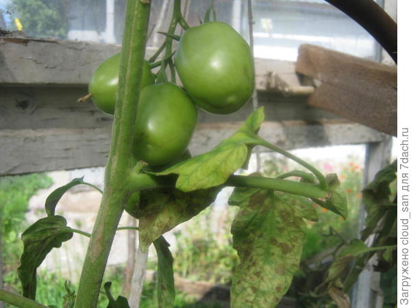 Последний день августа