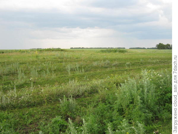 Здесь была деревня Екатериновка