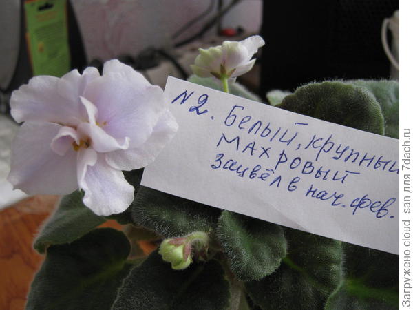 Попытка систематизации