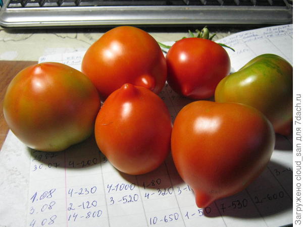 Как же вас зовут?