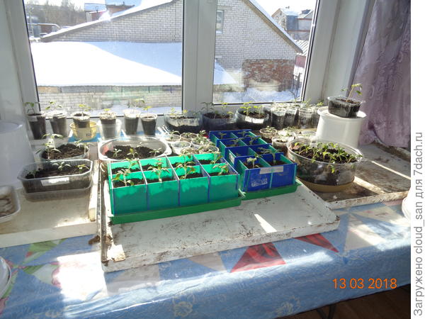 Мечтаем о весне.