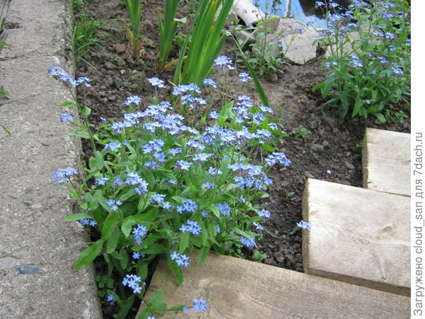 Синие озёра.