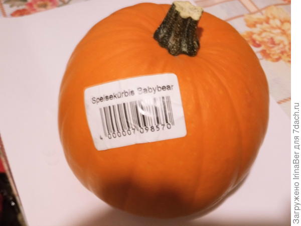 Медвеженок