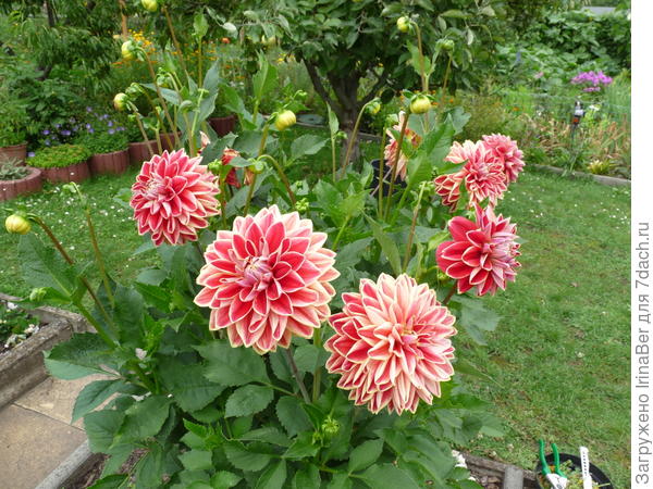 Поздравляю!