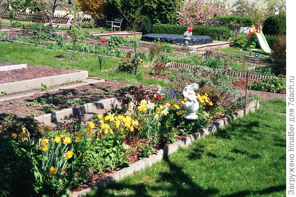 Здесь можно заметить перепад высот между отдельными грядками