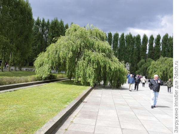 Почти весь парк - пирамидальные тополя, а по центральной аллее - плакучие березы