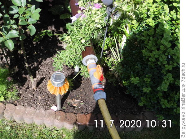 Знала же, что фотографировала!