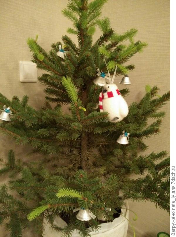 красотулька:)