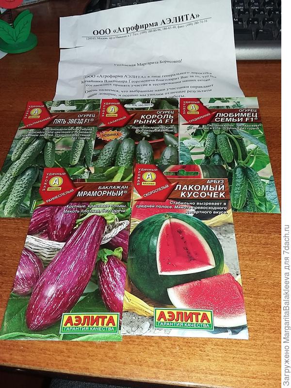 письмо, огурцы, баклажан и арбуз