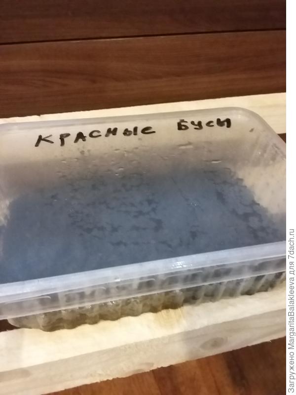 на солнышко